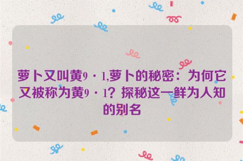 萝卜又叫黄9·1,萝卜的秘密：为何它又被称为黄9·1？探秘这一鲜为人知的别名