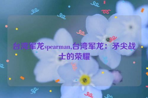 台湾军龙spearman,台湾军龙：矛尖战士的荣耀