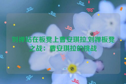 刘禅站在板凳上曹安琪拉,刘禅板凳之战：曹安琪拉的挑战