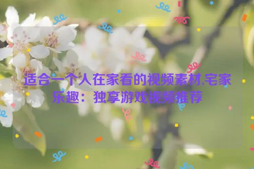 适合一个人在家看的视频素材,宅家乐趣：独享游戏视频推荐