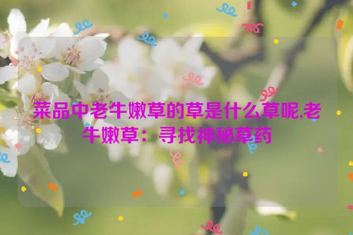 菜品中老牛嫩草的草是什么草呢,老牛嫩草：寻找神秘草药