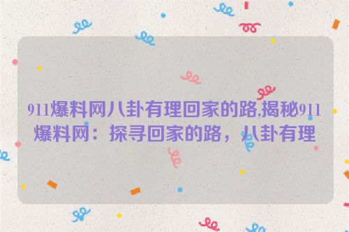 911爆料网八卦有理回家的路,揭秘911爆料网：探寻回家的路，八卦有理