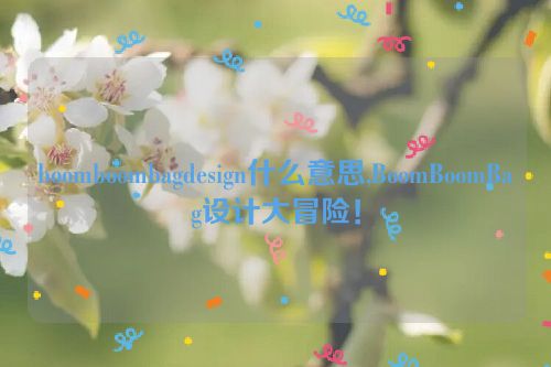 boomboombagdesign什么意思,BoomBoomBag设计大冒险！