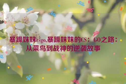 暴躁妹妹csgo,暴躁妹妹的CS：GO之路：从菜鸟到战神的逆袭故事