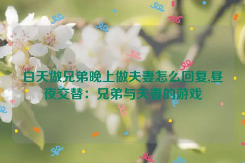 白天做兄弟晚上做夫妻怎么回复,昼夜交替：兄弟与夫妻的游戏