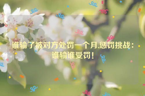 谁输了被对方处罚一个月,惩罚挑战：谁输谁受罚！