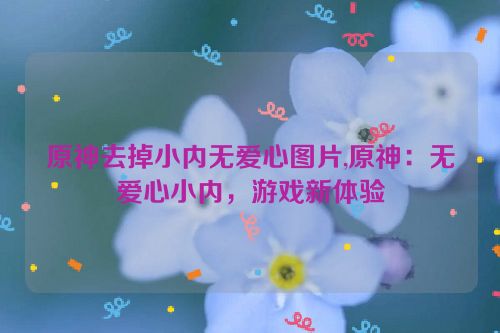 原神去掉小内无爱心图片,原神：无爱心小内，游戏新体验