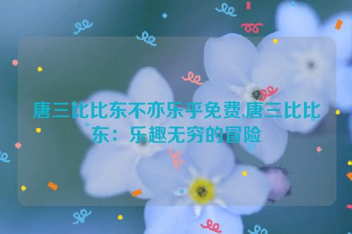 唐三比比东不亦乐乎免费,唐三比比东：乐趣无穷的冒险