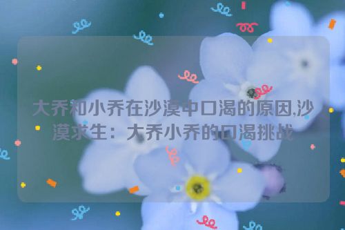 大乔和小乔在沙漠中口渴的原因,沙漠求生：大乔小乔的口渴挑战