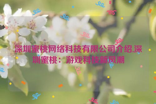 深圳蜜桃网络科技有限公司介绍,深圳蜜桃：游戏科技新风潮