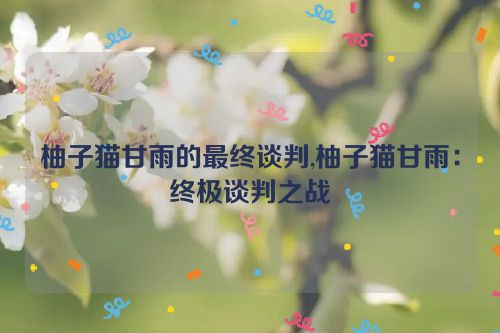 柚子猫甘雨的最终谈判,柚子猫甘雨：终极谈判之战