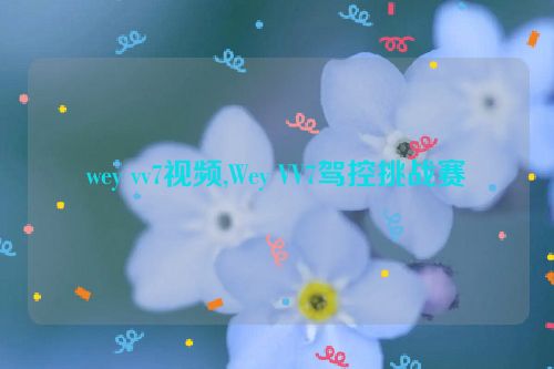 wey vv7视频,Wey VV7驾控挑战赛