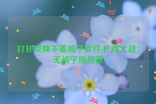 打扑克牌不盖被子软件,扑克大战：无被子挑战赛