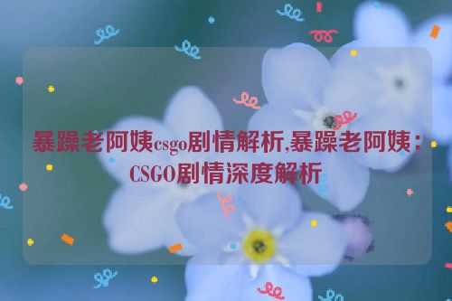 暴躁老阿姨csgo剧情解析,暴躁老阿姨：CSGO剧情深度解析