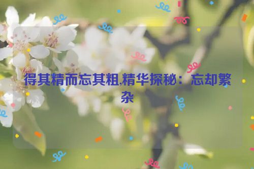 得其精而忘其粗,精华探秘：忘却繁杂