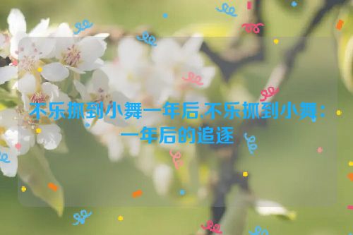 不乐抓到小舞一年后,不乐抓到小舞：一年后的追逐