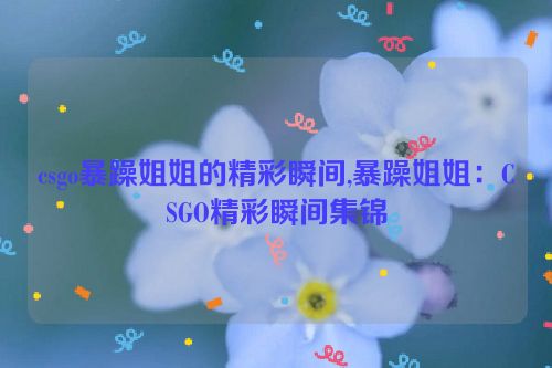 csgo暴躁姐姐的精彩瞬间,暴躁姐姐：CSGO精彩瞬间集锦