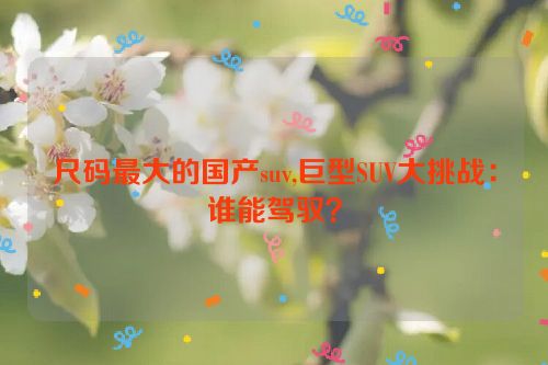 尺码最大的国产suv,巨型SUV大挑战：谁能驾驭？