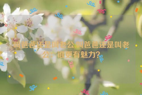 叫爸爸还是叫老公,叫爸爸还是叫老公：谁更有魅力？