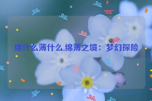 绵什么薄什么,绵薄之境：梦幻探险