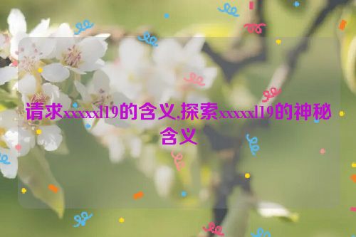 请求xxxxxl19的含义,探索xxxxxl19的神秘含义