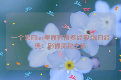 一个黑白mv里面有很多经典,黑白经典：影像探秘之旅