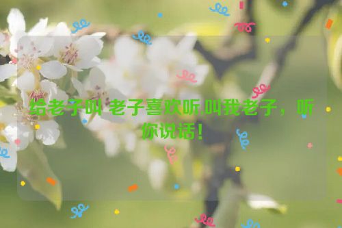 给老子叫 老子喜欢听,叫我老子，听你说话！