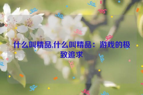 什么叫精品,什么叫精品：游戏的极致追求