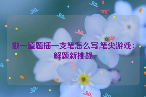 做一道题插一支笔怎么写,笔尖游戏：解题新挑战