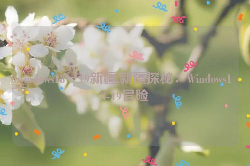 windows18一19新疆,新疆探秘：Windows18-19冒险