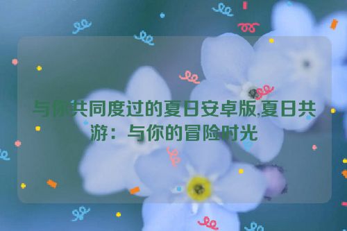 与你共同度过的夏日安卓版,夏日共游：与你的冒险时光