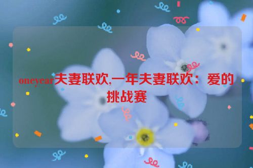 oneyear夫妻联欢,一年夫妻联欢：爱的挑战赛