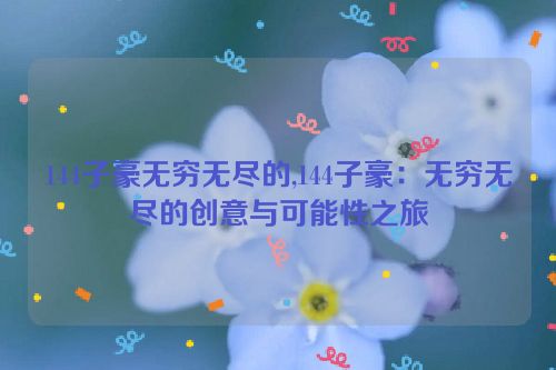 144子豪无穷无尽的,144子豪：无穷无尽的创意与可能性之旅