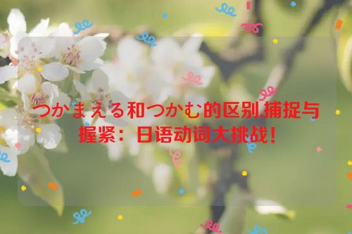 つかまえる和つかむ的区别,捕捉与握紧：日语动词大挑战！