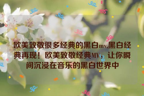 欧美致敬很多经典的黑白mv,黑白经典再现！欧美致敬经典MV，让你瞬间沉浸在音乐的黑白世界中