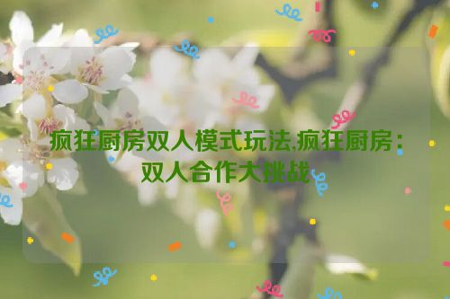 疯狂厨房双人模式玩法,疯狂厨房：双人合作大挑战