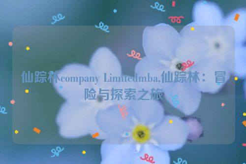 仙踪林company Limitedmba,仙踪林：冒险与探索之旅