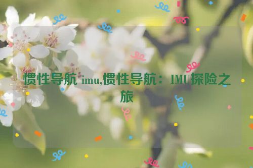 惯性导航 imu,惯性导航：IMU探险之旅