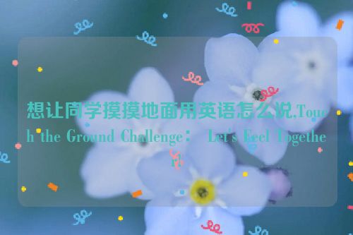 想让同学摸摸地面用英语怎么说,Touch the Ground Challenge： Let's Feel Together!