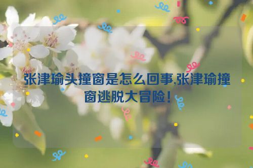 张津瑜头撞窗是怎么回事,张津瑜撞窗逃脱大冒险！