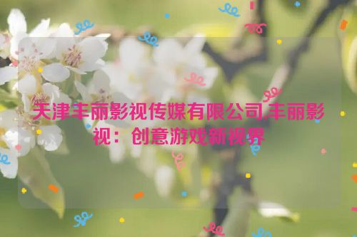 天津丰丽影视传媒有限公司,丰丽影视：创意游戏新视界