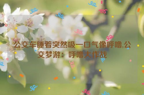 公交车睡着突然吸一口气像呼噜,公交梦游：呼噜大作战