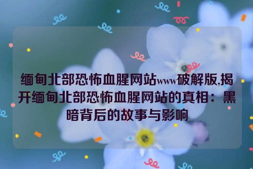 缅甸北部恐怖血腥网站www破解版,揭开缅甸北部恐怖血腥网站的真相：黑暗背后的故事与影响