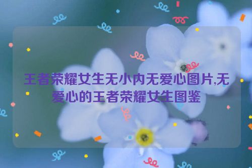 王者荣耀女生无小内无爱心图片,无爱心的王者荣耀女生图鉴