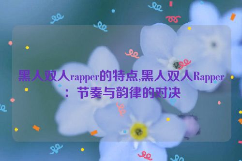 黑人双人rapper的特点,黑人双人Rapper：节奏与韵律的对决