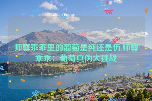 师尊乖乖里的葡萄是纯还是仿,师尊乖乖：葡萄真伪大挑战