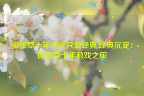 微微草十年沉淀只做经典,经典沉淀：微微草十年游戏之旅