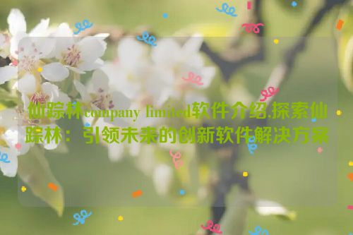 仙踪林company limited软件介绍,探索仙踪林：引领未来的创新软件解决方案