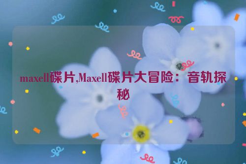 maxell碟片,Maxell碟片大冒险：音轨探秘