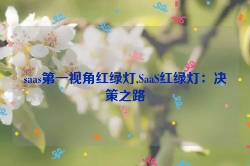 saas第一视角红绿灯,SaaS红绿灯：决策之路